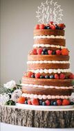 Naked wedding cake with fresh fruit 